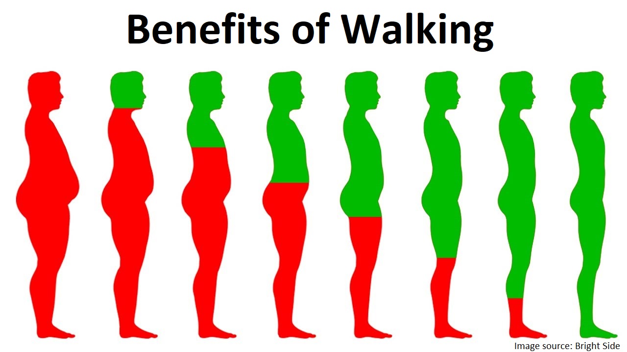 Benefits of Walking 15-30 Minutes Every Day
