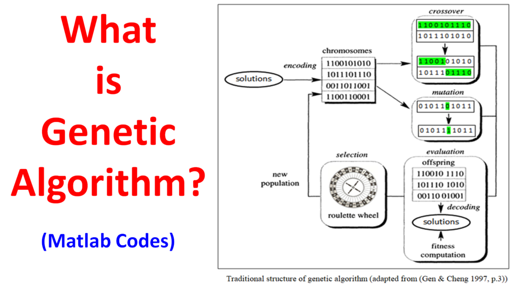 what-is-genetic-algorithm-bodybuilding-and-fitness-program-images-and